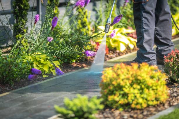 Trusted Pine Grove, PA Pressure Washing Services Experts